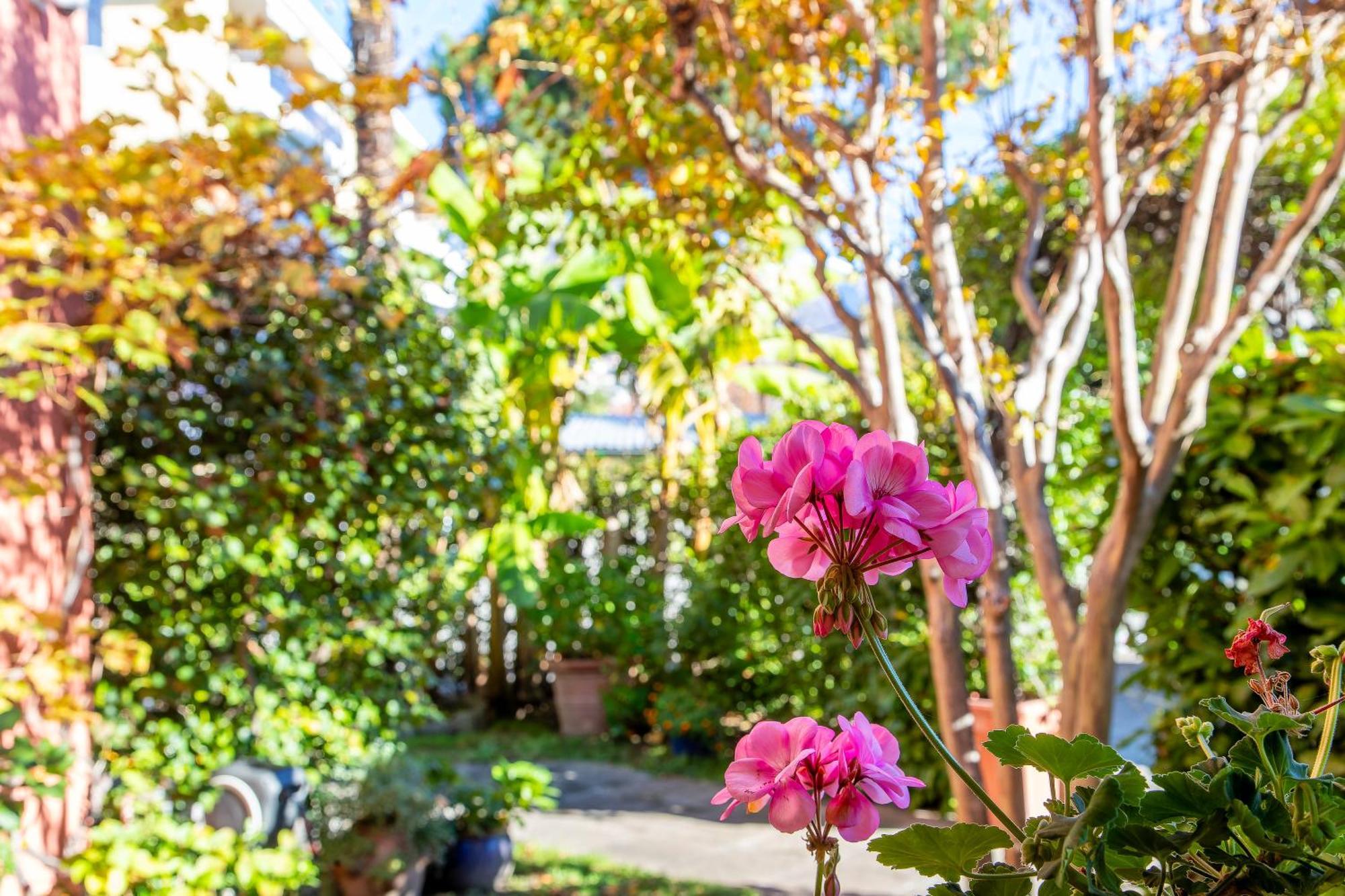 Hotel Garni Dei Fiori Ascona Buitenkant foto